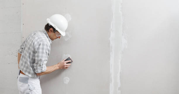 Best Industrial Mold Remediation  in Port Gibson, MS