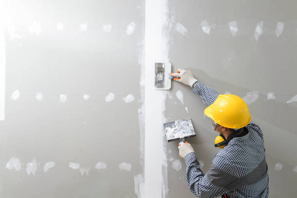 Best Mold Removal for HVAC Installations  in Port Gibson, MS