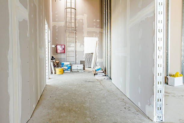 Best Residential Mold Inspection & Testing  in Port Gibson, MS