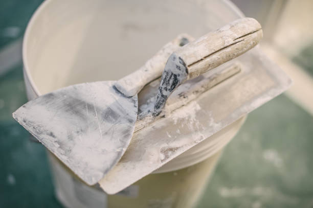 Best Basement Mold Removal  in Port Gibson, MS